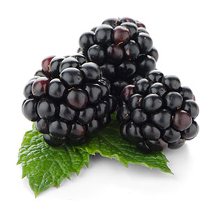 Black Raspberry Seed