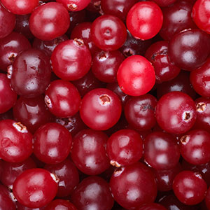 Cranberry Seed