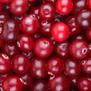 Cranberry_300x300